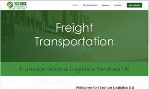 free website design 21